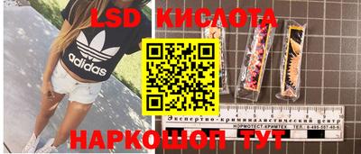 метадон Гусев