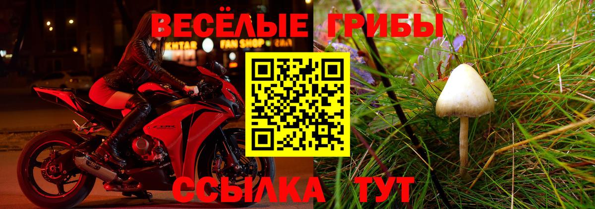 Псилоцибиновые грибы MAGIC MUSHROOMS Назрань