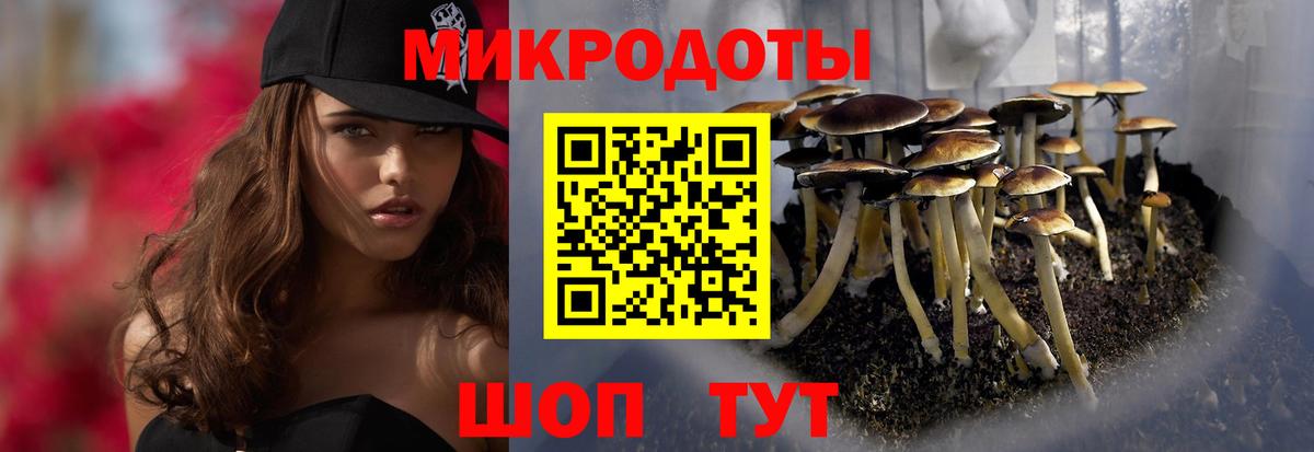 Псилоцибиновые грибы ЛСД  Вход с VPN  Назрань 